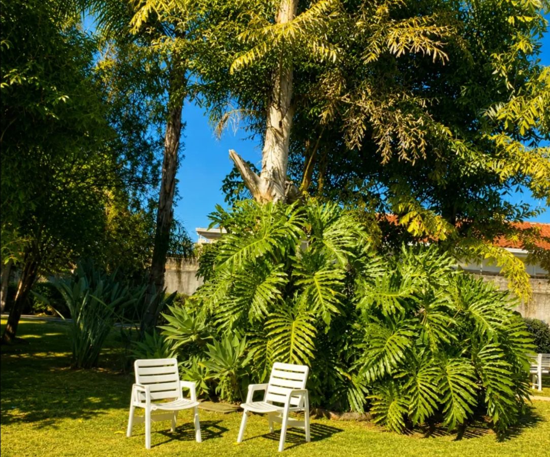 Área verde do Residencial Longa Vida