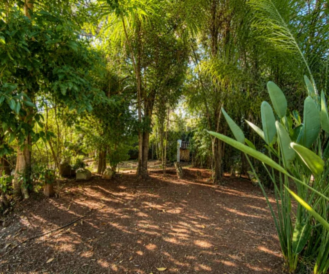 Área verde do Residencial Longa Vida